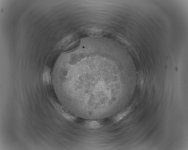 X0000084540287200703091702