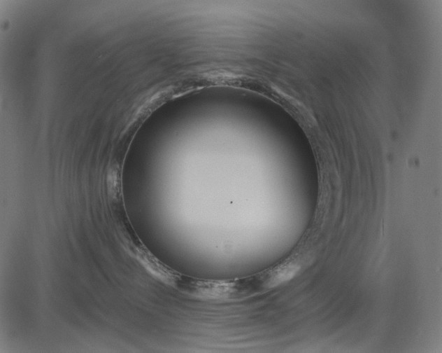 X0000084540288200703091702