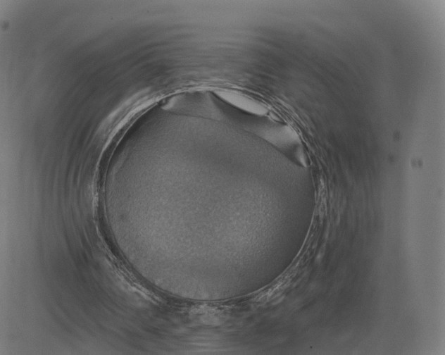 X0000084540290200703091701