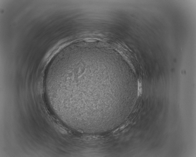 X0000084540291200703091701