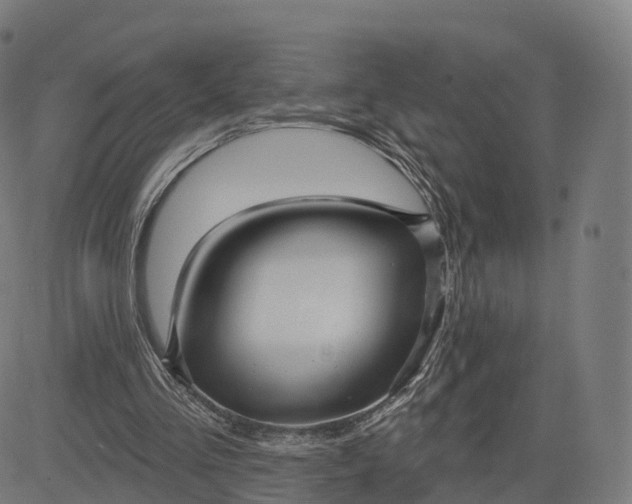 X0000084540293200703091701