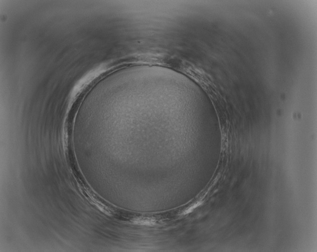 X0000084540294200703091701