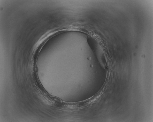 X0000084540295200703091701