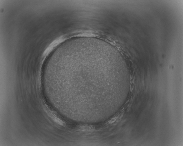 X0000084540296200703091701