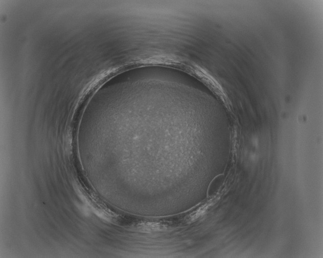 X0000084540298200703091701