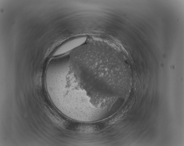 X0000084540299200703091701