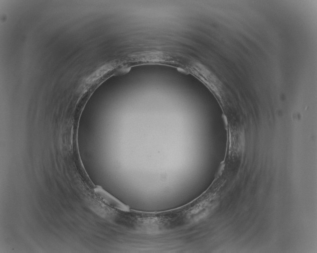 X0000084540301200703091701