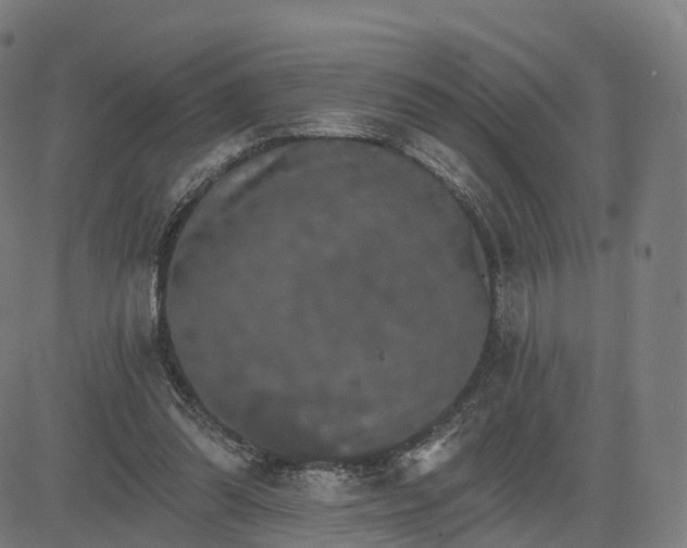 X0000084540302200703091701