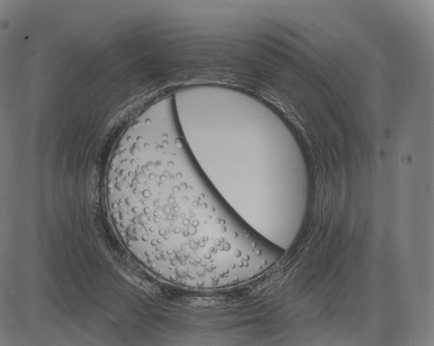 X0000084540303200703091700