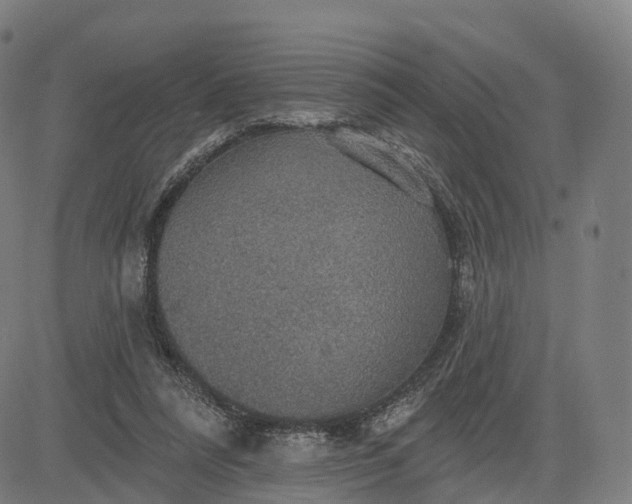 X0000084540304200703091700