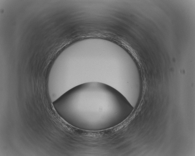 X0000084540305200703091700