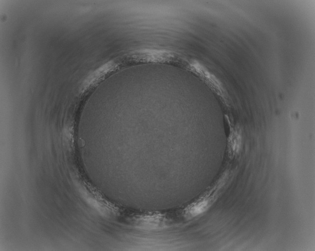 X0000084540306200703091700