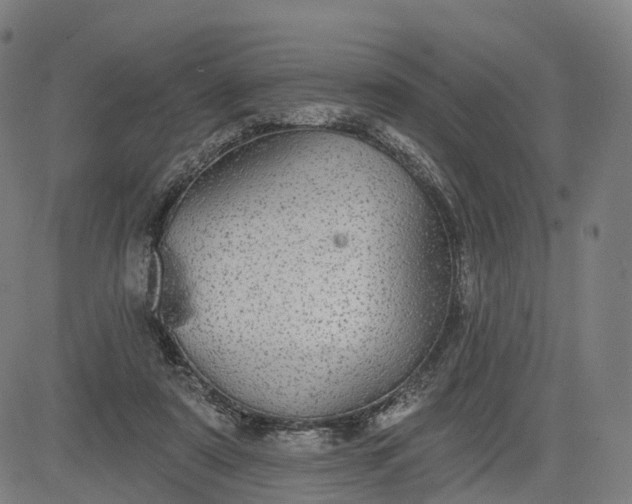 X0000084540307200703091700