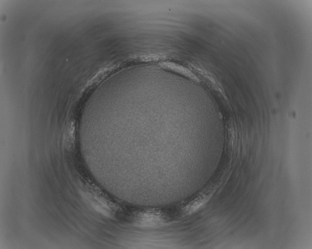 X0000084540308200703091700