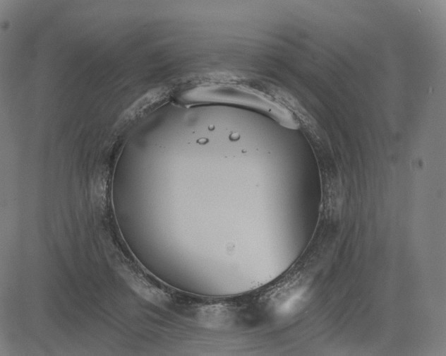 X0000084540309200703091700