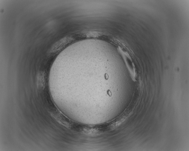 X0000084540311200703091700