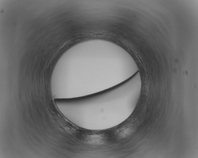 X0000084540312200703091700