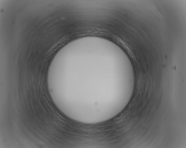 X0000084540313200703091700