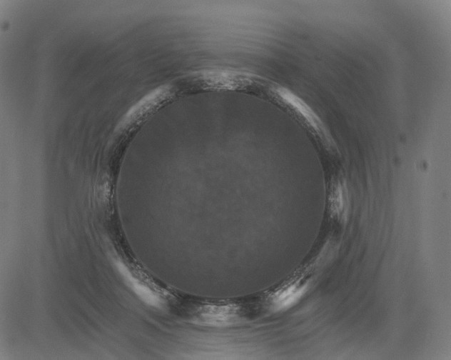 X0000084540314200703091700