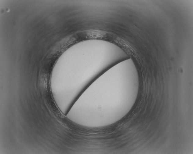 X0000084540315200703091700