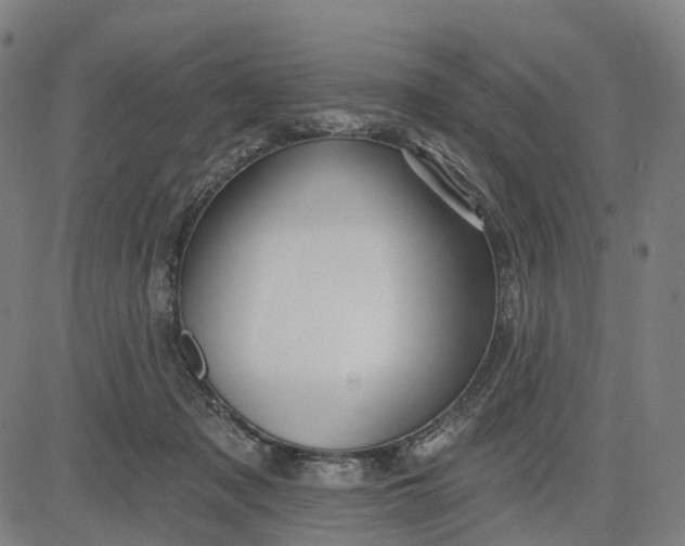 X0000084540317200703091700