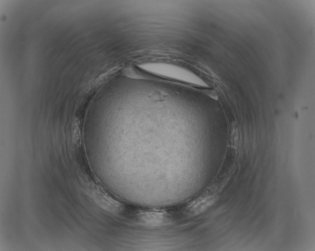 X0000084540318200703091700