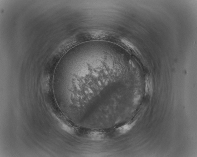 X0000084540319200703091700