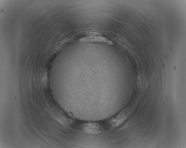 X0000084540320200703091700