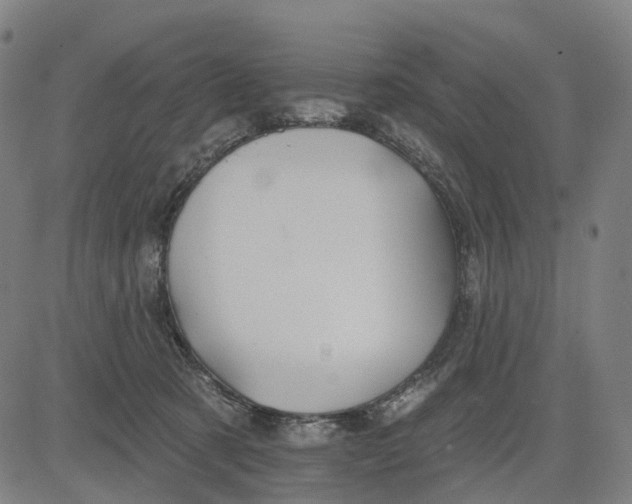 X0000084540321200703091700