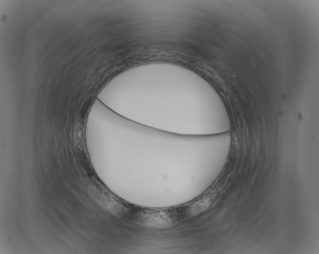 X0000084540322200703091700