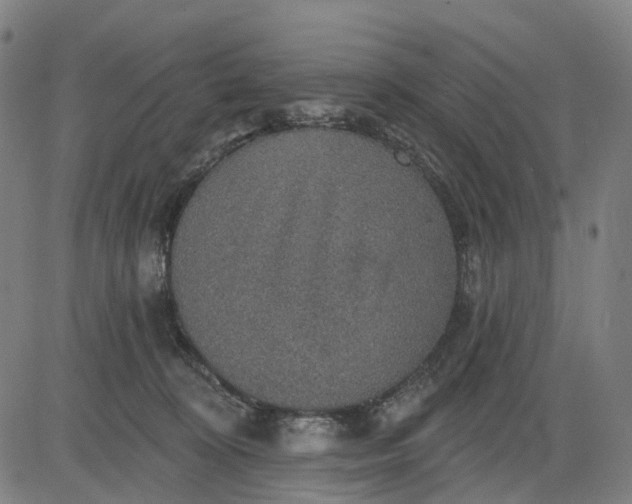 X0000084540324200703091700