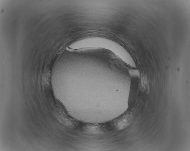 X0000084540325200703091700