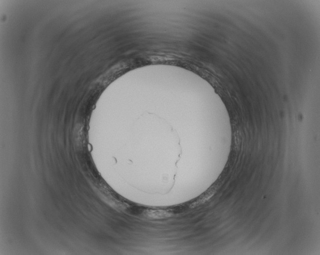 X0000084540327200703091700