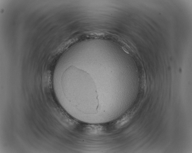 X0000084540328200703091700