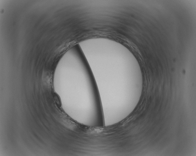 X0000084540329200703091700