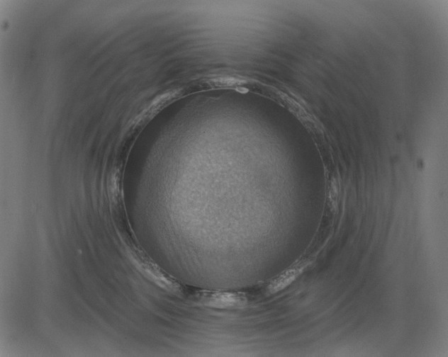 X0000084540330200703091700