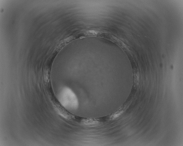 X0000084540331200703091700