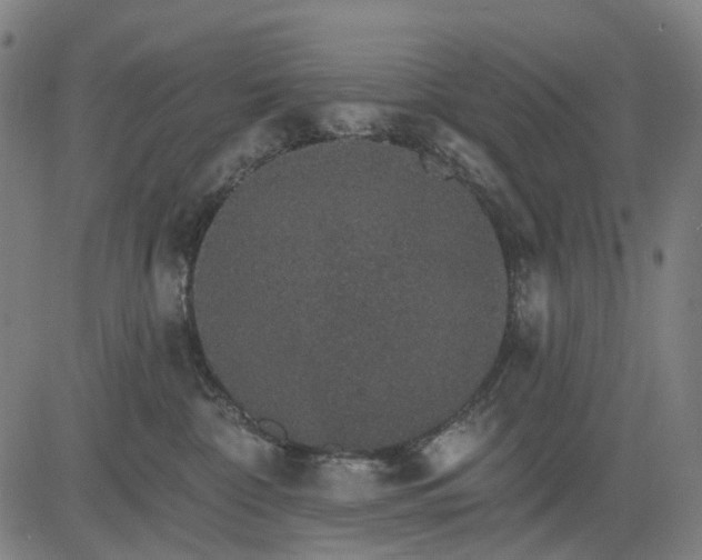 X0000084540332200703091700