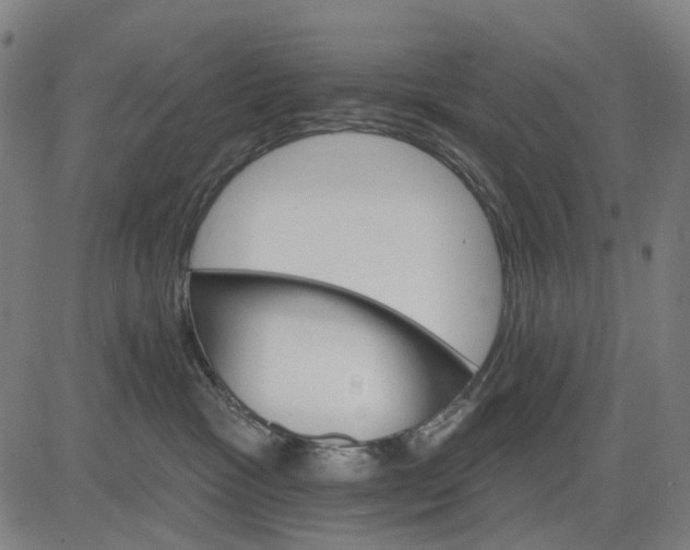 X0000084540333200703091700