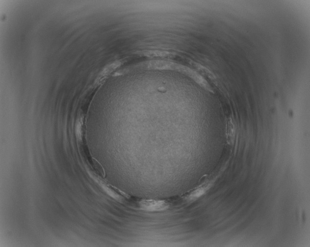 X0000084540334200703091700