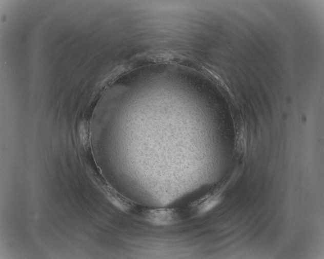 X0000084540335200703091700