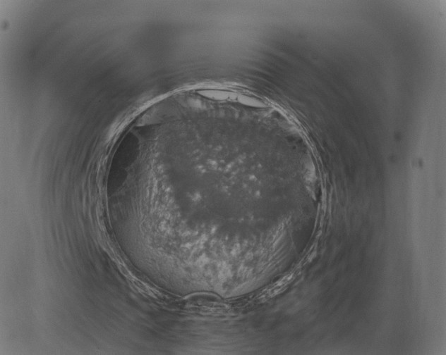 X0000084540337200703091659