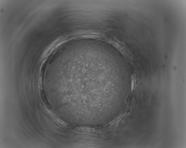 X0000084540339200703091659