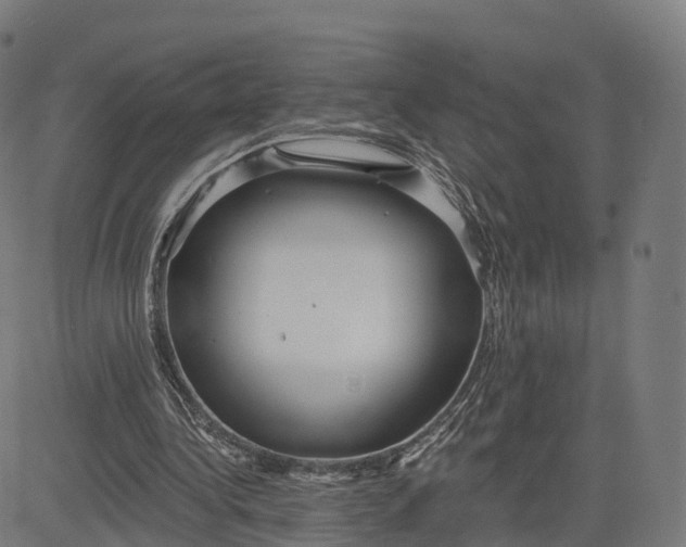 X0000084540340200703091659