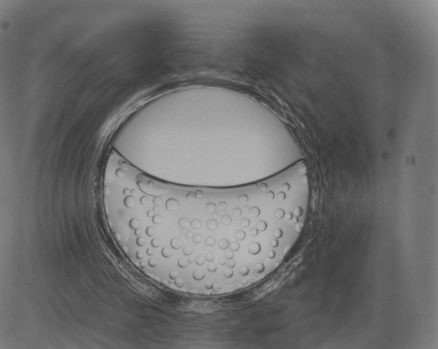 X0000084540341200703091659