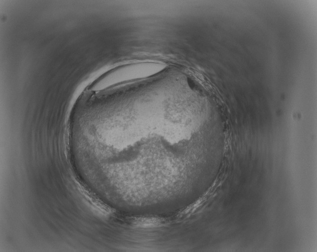 X0000084540342200703091659