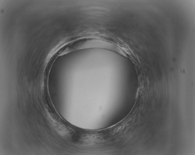 X0000084540344200703091659