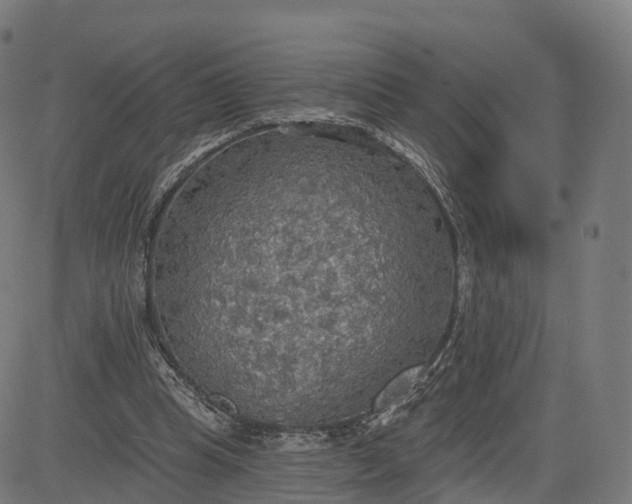 X0000084540345200703091659