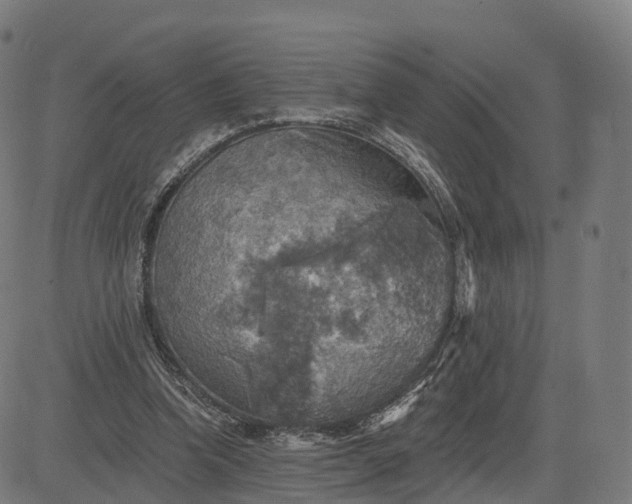 X0000084540346200703091659