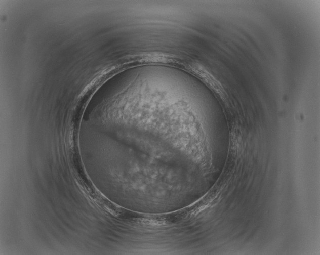 X0000084540347200703091659